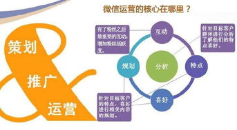 金華網(wǎng)站建設(shè)指千引 論企業(yè)網(wǎng)站建設(shè)的必要性與網(wǎng)絡(luò)技術(shù)服務(wù)價(jià)值